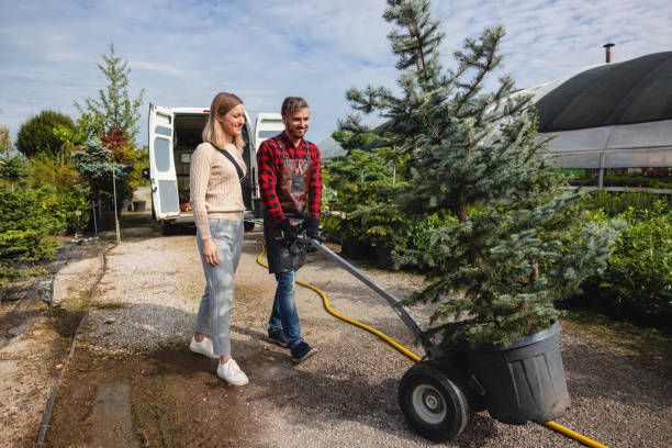 Best Tree Care Services  in Buchanan Dam, TX